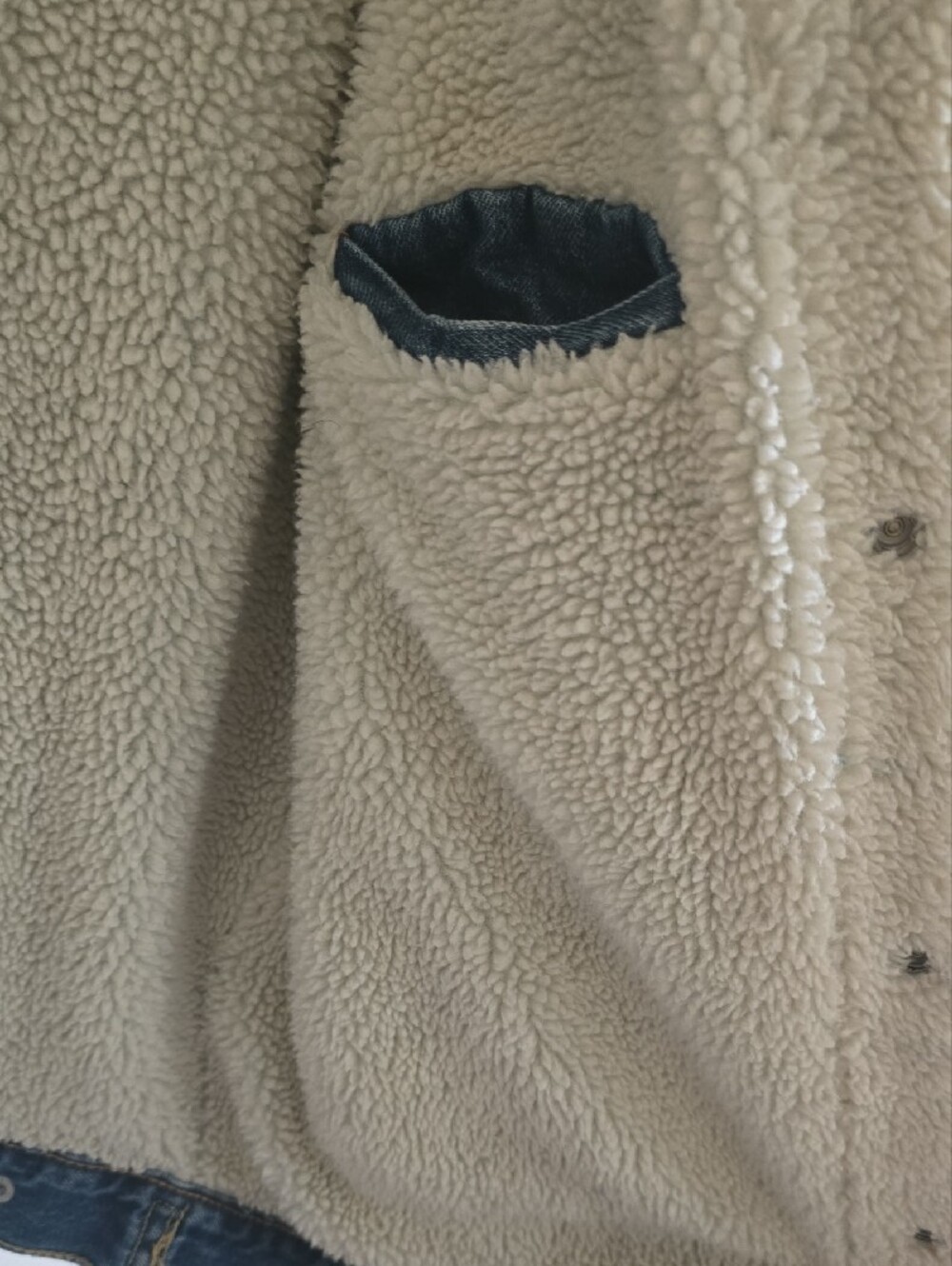 Levi's Blue Denim Sherpa-Lined Jacket with Cream Collar - Picture 9 of 12